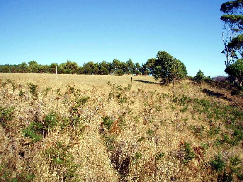 1 Mackenzies Road, Boat Harbour TAS 7321