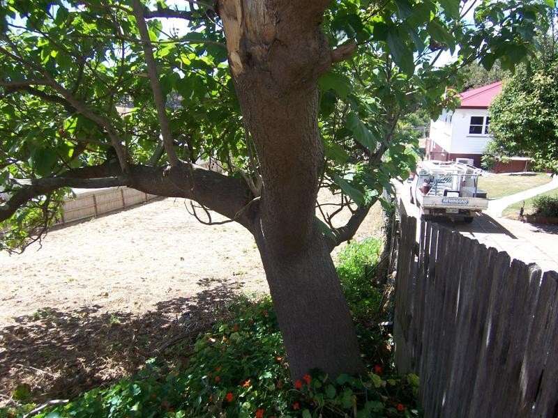 33 Spencer Street, Burnie TAS 7320