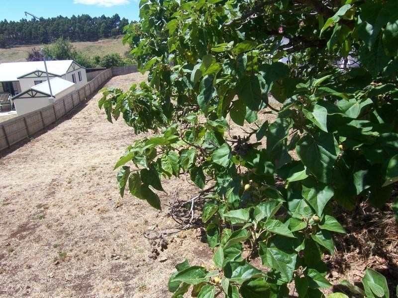 33 Spencer Street, Burnie TAS 7320