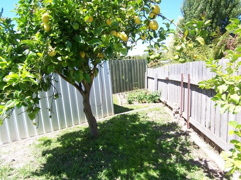 Somerset TAS 7322