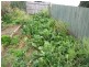 1 Rola Place, Burnie TAS 7320