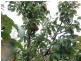 1 Rola Place, Burnie TAS 7320
