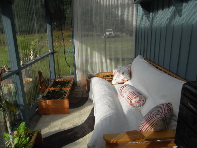 976 Loyetea Road, Riana TAS 7316