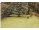6 Duke Street, Burnie TAS 7320