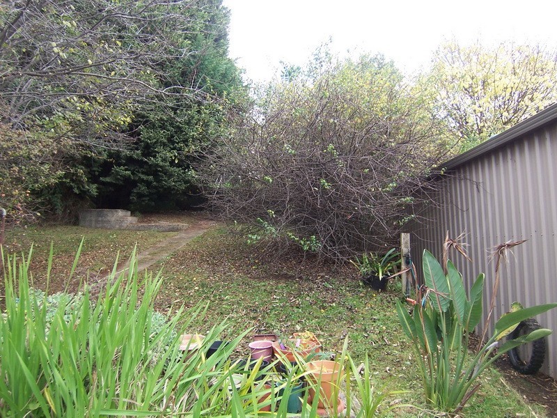 27-29 Spencer Street, Burnie TAS 7320