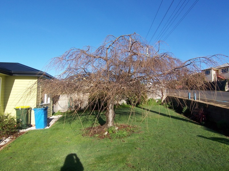 45 Old Surrey Road, Burnie TAS 7320
