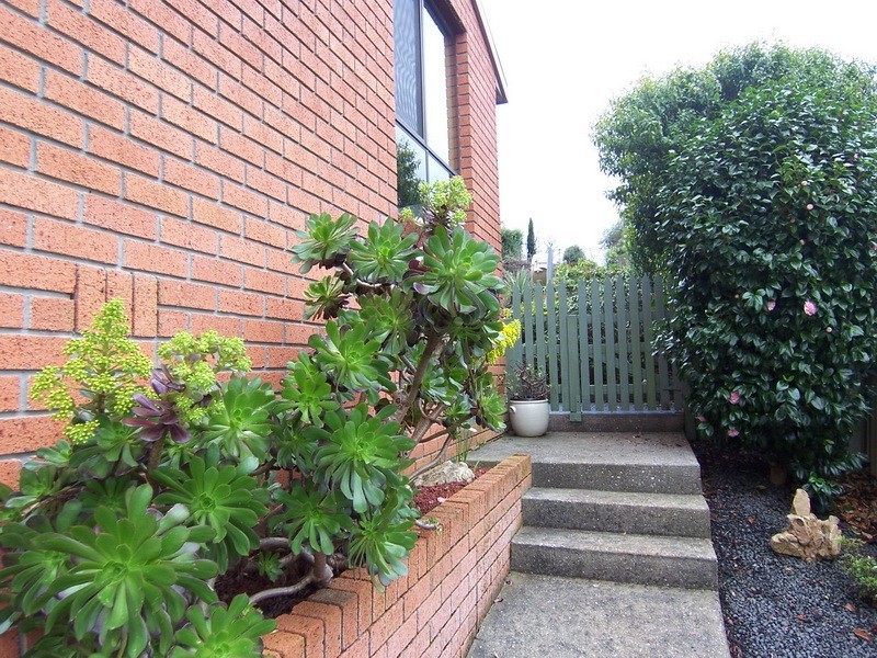 2 Mills Road, Burnie TAS 7320