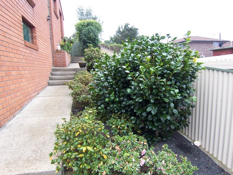 2 Mills Road, Burnie TAS 7320
