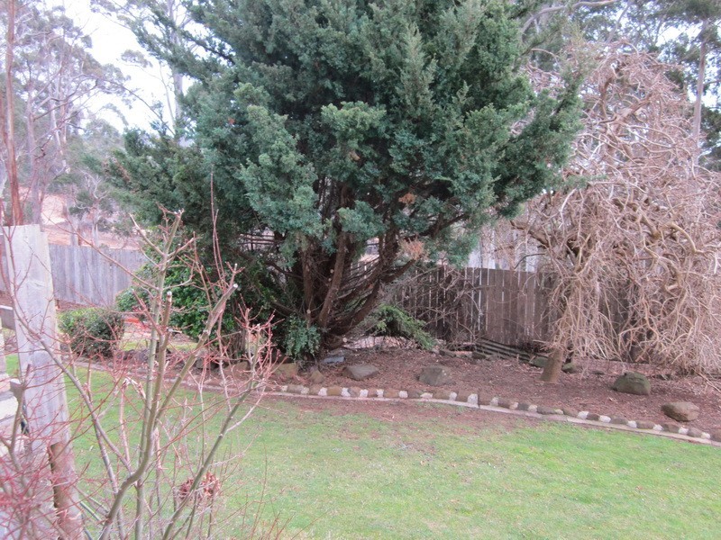 107 Pelissier Street, Somerset TAS 7322