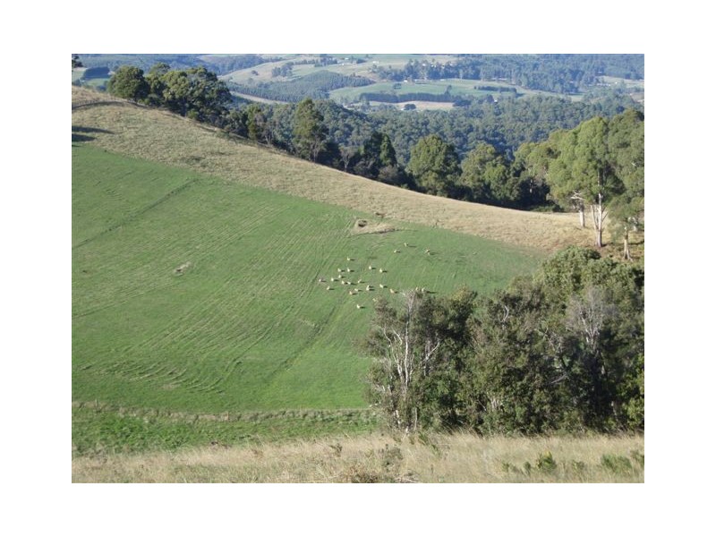 49 Sushames Road, Cuprona TAS 7316