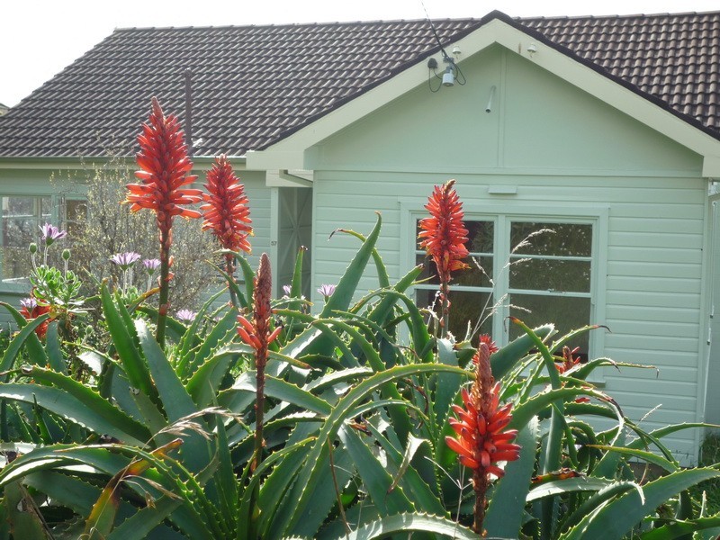 57 Belton Street, Burnie TAS 7320