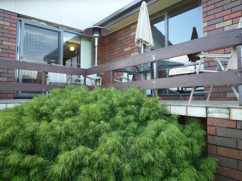 65 Cardigan Street, Somerset TAS 7322