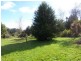 115 Calder Road, Wynyard TAS 7325