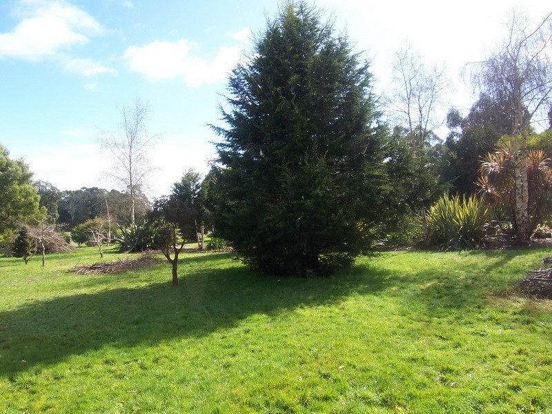 115 Calder Road, Wynyard TAS 7325