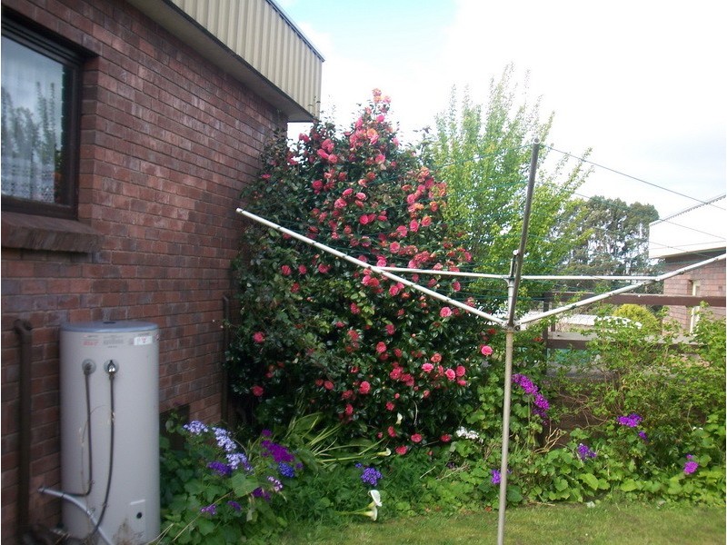 1/17a Sutton Street, Burnie TAS 7320