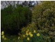 Lot 2, 4 Metaira Road, Ridgley TAS 7321