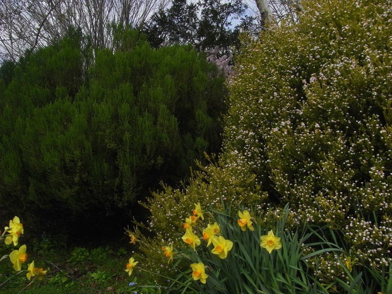 Lot 2, 4 Metaira Road, Ridgley TAS 7321