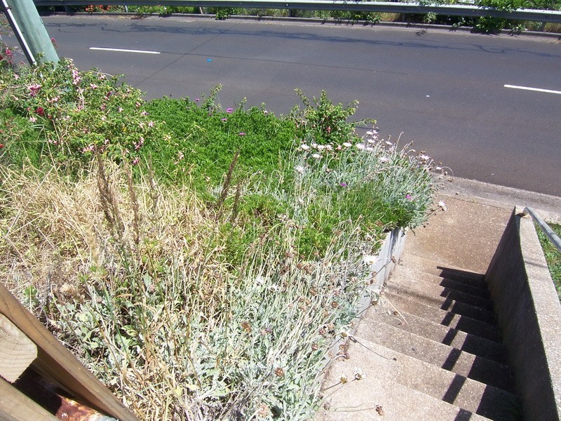 79 View Road, Burnie TAS 7320