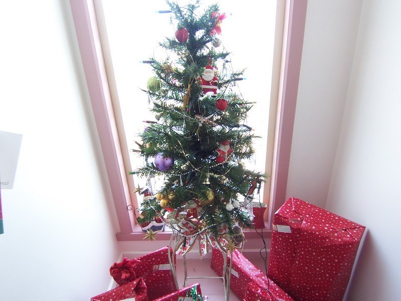 79 View Road, Burnie TAS 7320