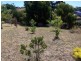 14 Belton Street, Burnie TAS 7320