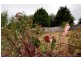 32 Malonga Drive, Burnie TAS 7320