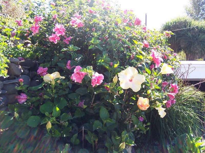 8 Little Bird Street, Burnie TAS 7320