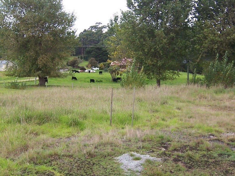Lot 8, 96 Preservation Drive, Penguin TAS 7316
