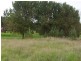 Lot 8, 96 Preservation Drive, Penguin TAS 7316
