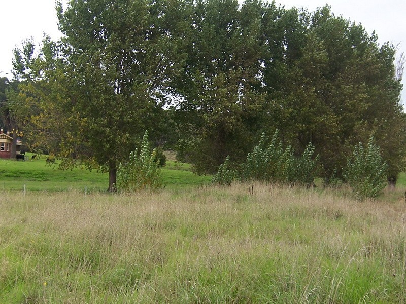 Lot 8, 96 Preservation Drive, Penguin TAS 7316