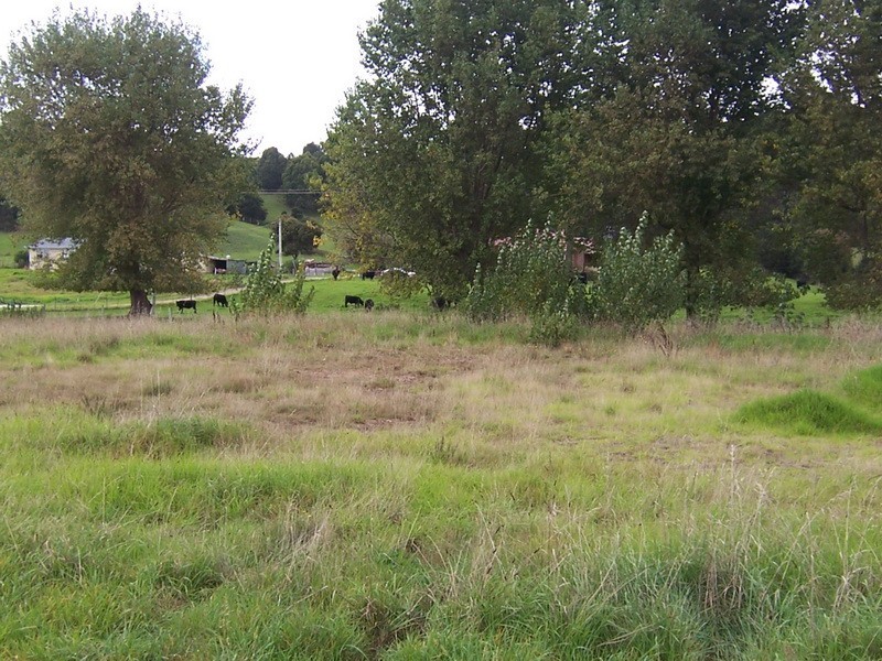 Lot 8, 96 Preservation Drive, Penguin TAS 7316