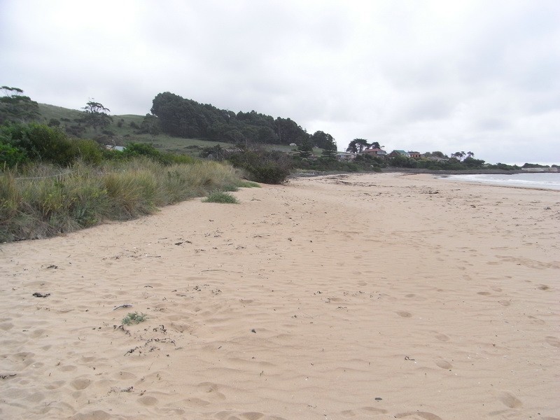 Lot 8, 96 Preservation Drive, Penguin TAS 7316