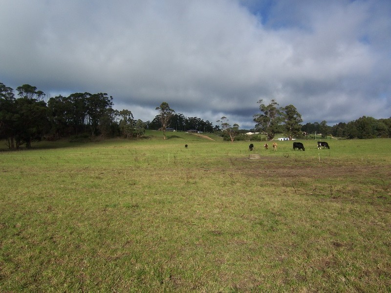 33 Lennah Drive, Wynyard TAS 7325
