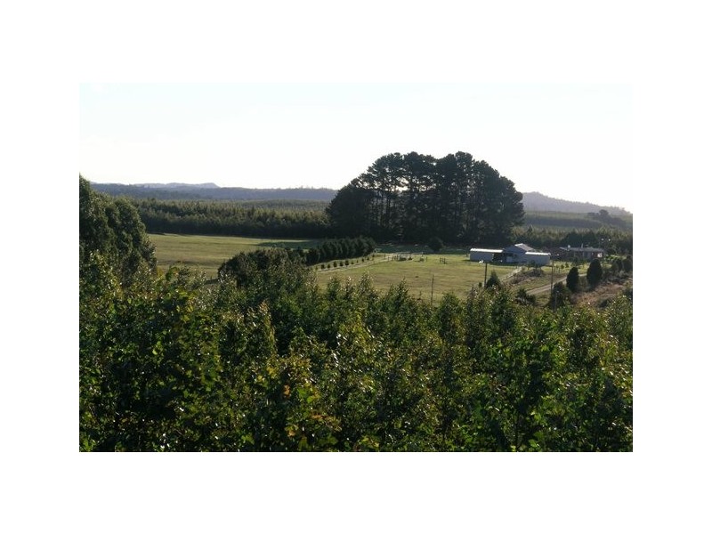 189 Pinners Road, West Takone TAS 7325