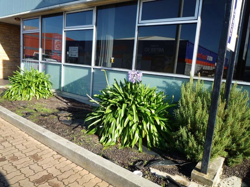 14 Alexander Street, Burnie TAS 7320