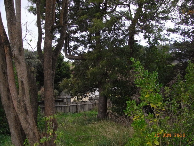 29-31 Collins Street, Burnie TAS 7320