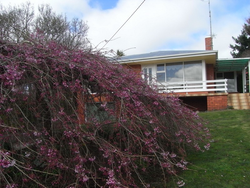 4 Metaira Road, Ridgley TAS 7321
