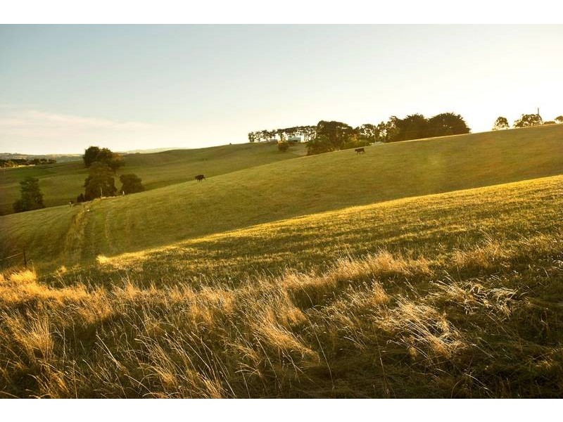 1251 Calder Road, Wynyard TAS 7325