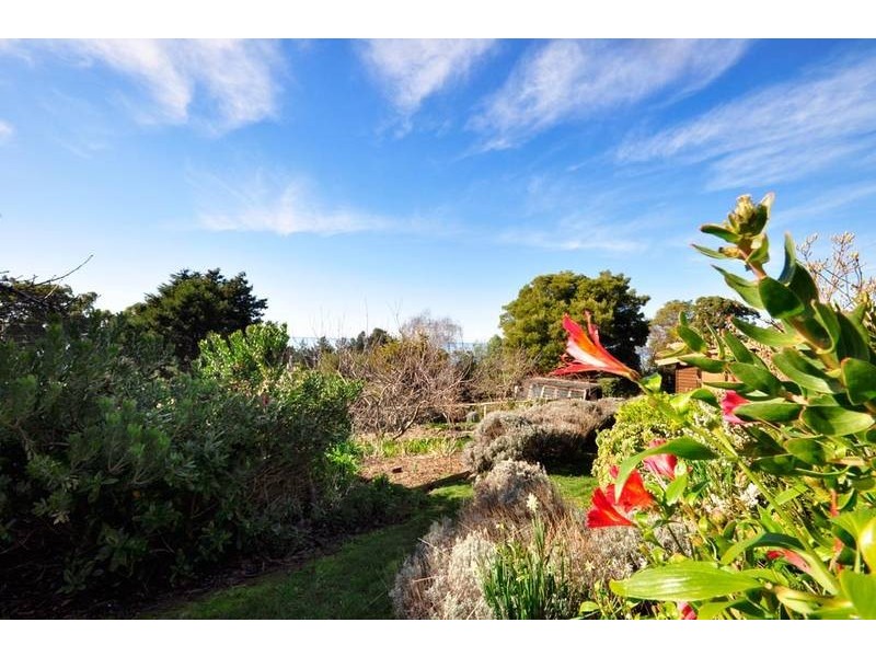 5 West Ridge Road, Penguin TAS 7316