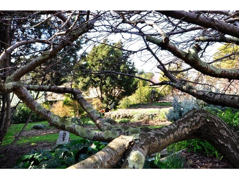 5 West Ridge Road, Penguin TAS 7316