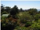 5 West Ridge Road, Penguin TAS 7316
