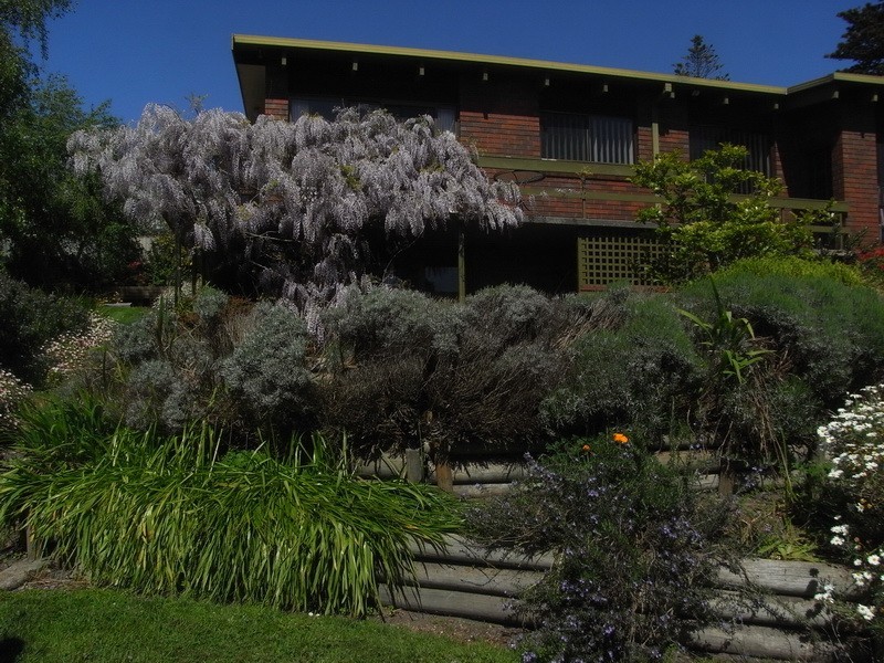 5 West Ridge Road, Penguin TAS 7316