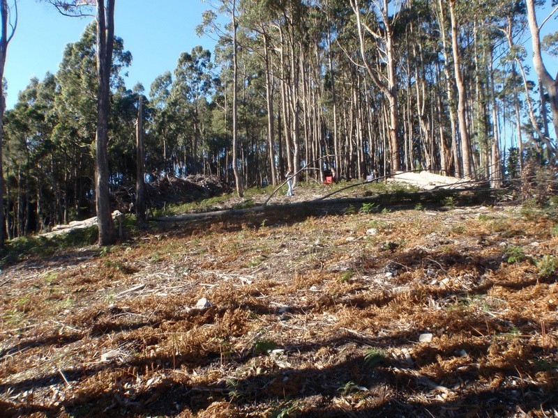 Lot 3,  Ellis Road, Burnie TAS 7320