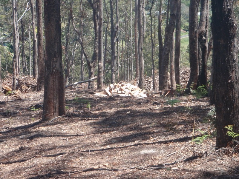 Lot 3,  Ellis Road, Burnie TAS 7320