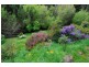 7-9 Brooklyn Road, Burnie TAS 7320