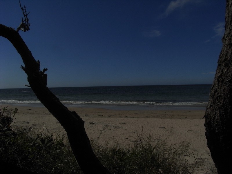 26 Esplanade, Somerset TAS 7322