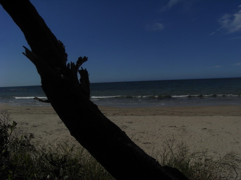 26 Esplanade, Somerset TAS 7322