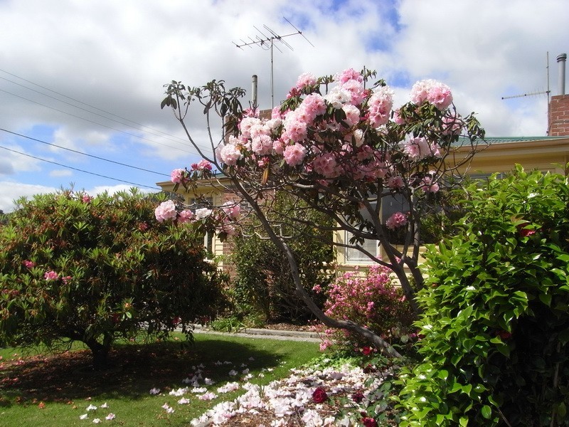 6 Hogarth Road, Sulphur Creek TAS 7316