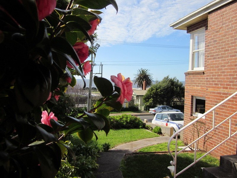 31 Olive Street, Burnie TAS 7320