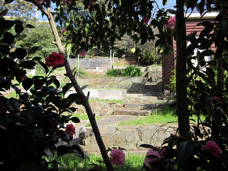 31 Olive Street, Burnie TAS 7320