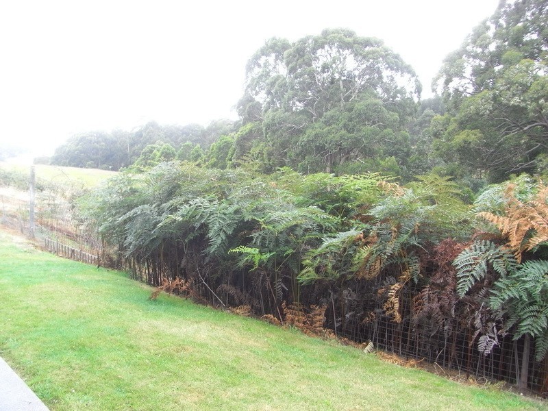 2/36 Kingsley Avenue, Burnie TAS 7320